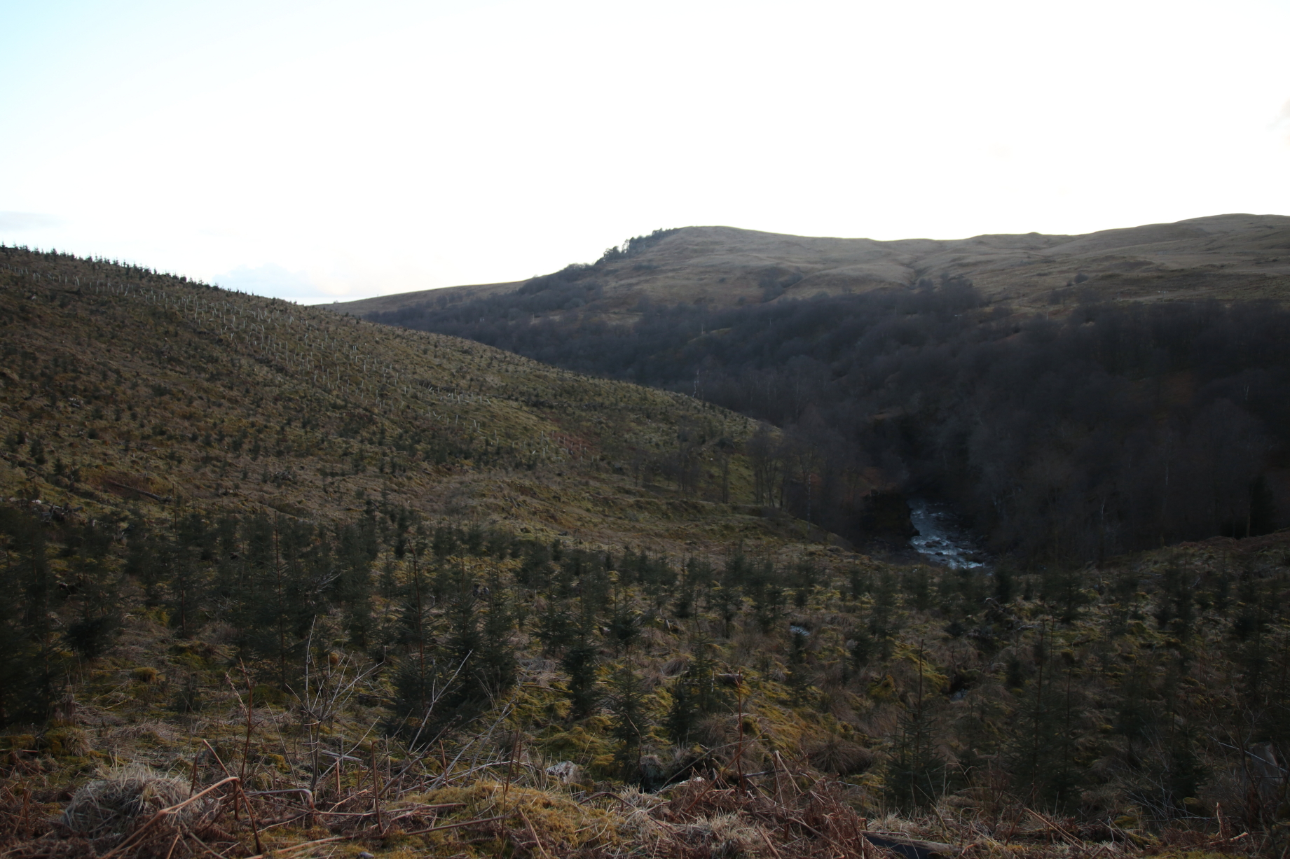 Loch Lomond & The Trossachs National Park 